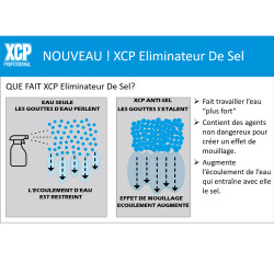 XCP ELIMINATEUR SEL 1L