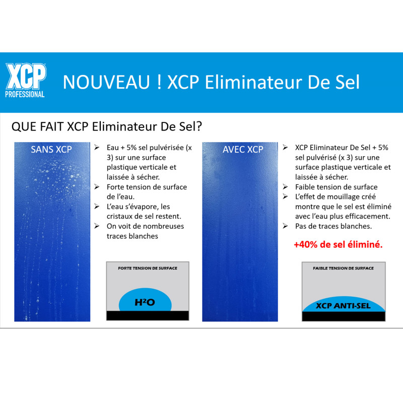 XCP ELIMINATEUR SEL 1L