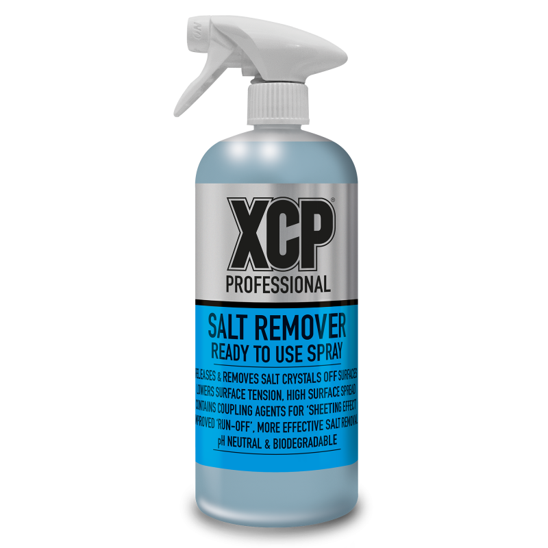 XCP ELIMINATEUR SEL 1L